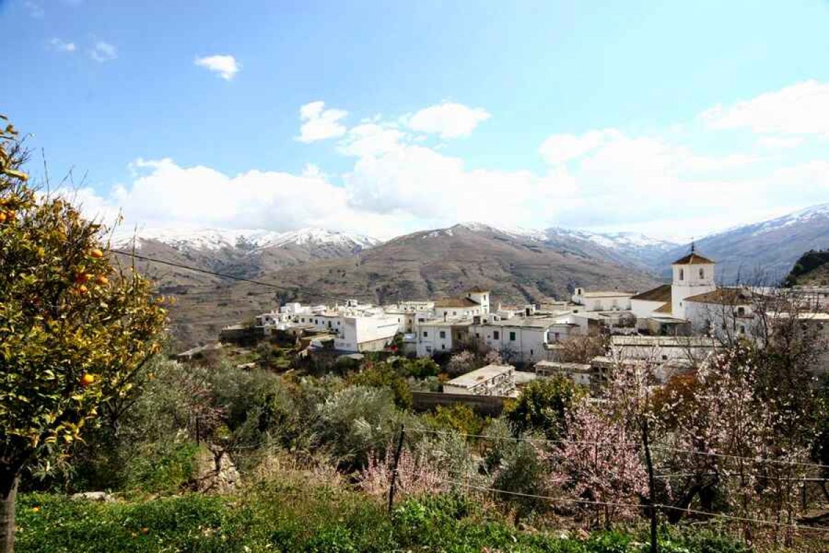 Borrador de la nueva PAC: la CE mantiene la propuesta de bajar las ayudas directas y elevar el Desarrollo Rural