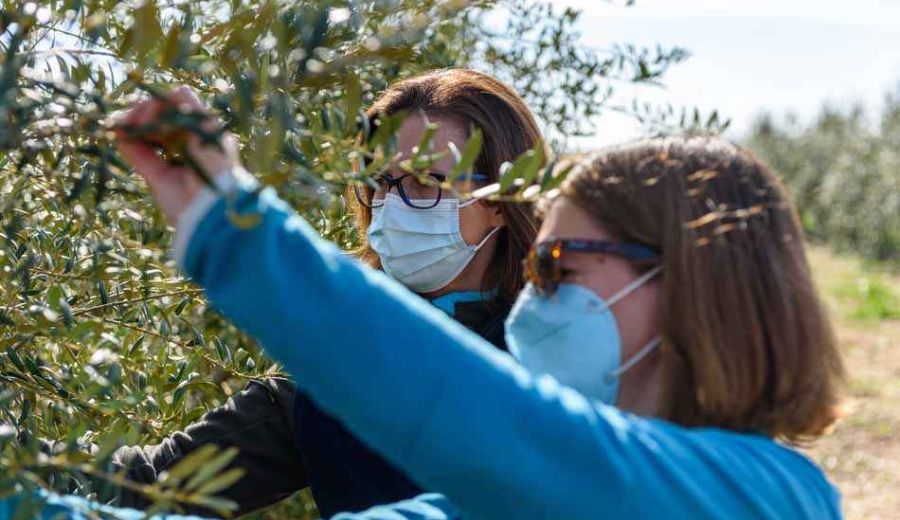 Convocadas las subvenciones para explotaciones agrarias de titularidad compartida