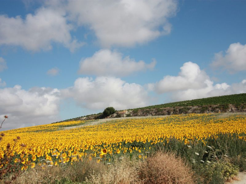 Campiña de Jerez y Costa Noroeste de Cádiz pone en marcha el curso “Turismo activo, un modelo sostenible”
