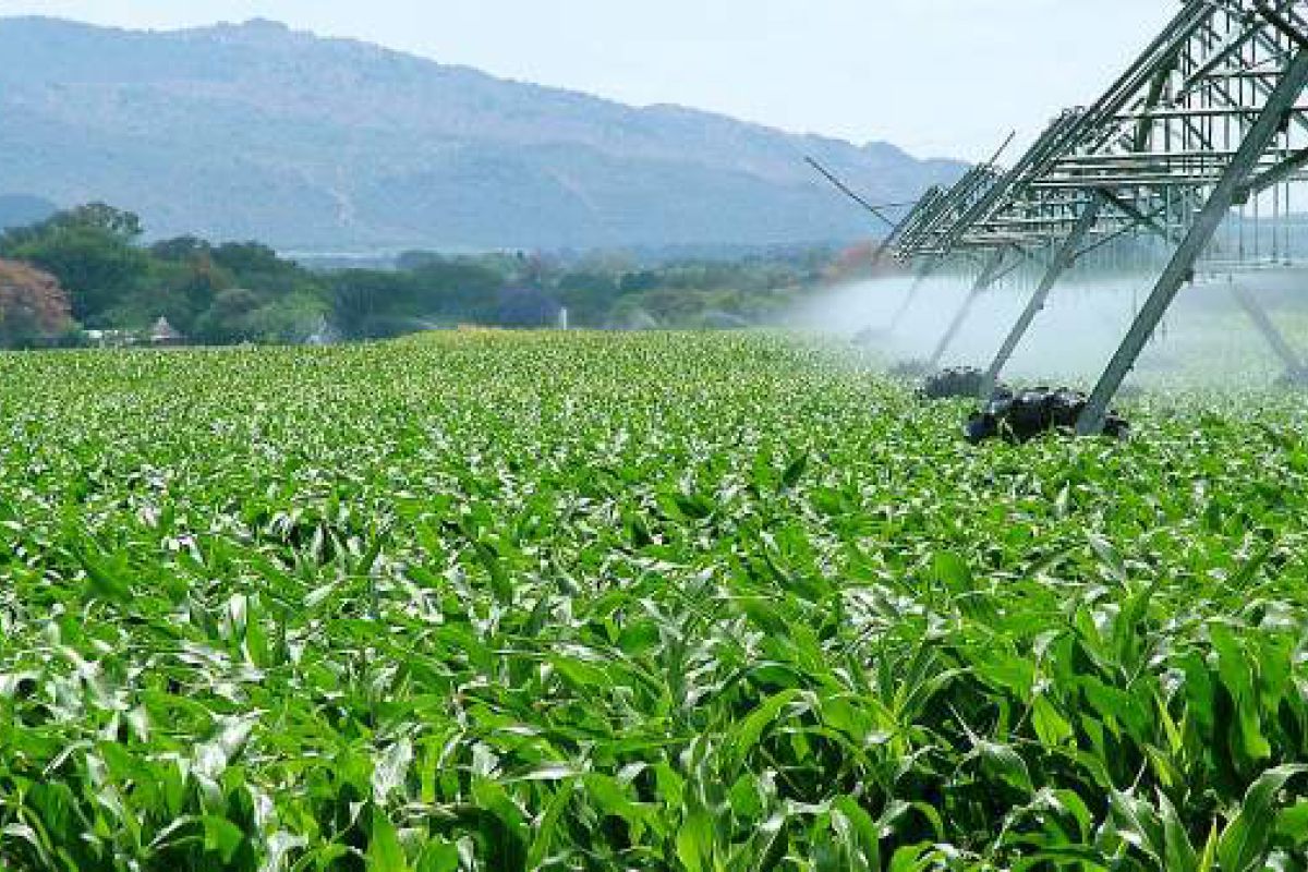 La Térmica expone el parque agrario del Guadalhorce como ejemplo de desarrollo sostenible