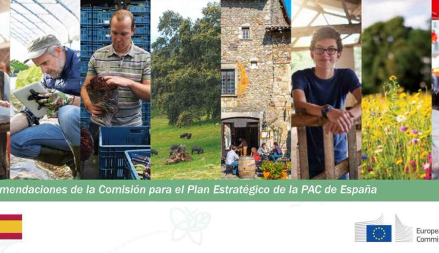 Recomendaciones de la Comisión para el Plan estratégico de la PAC de España