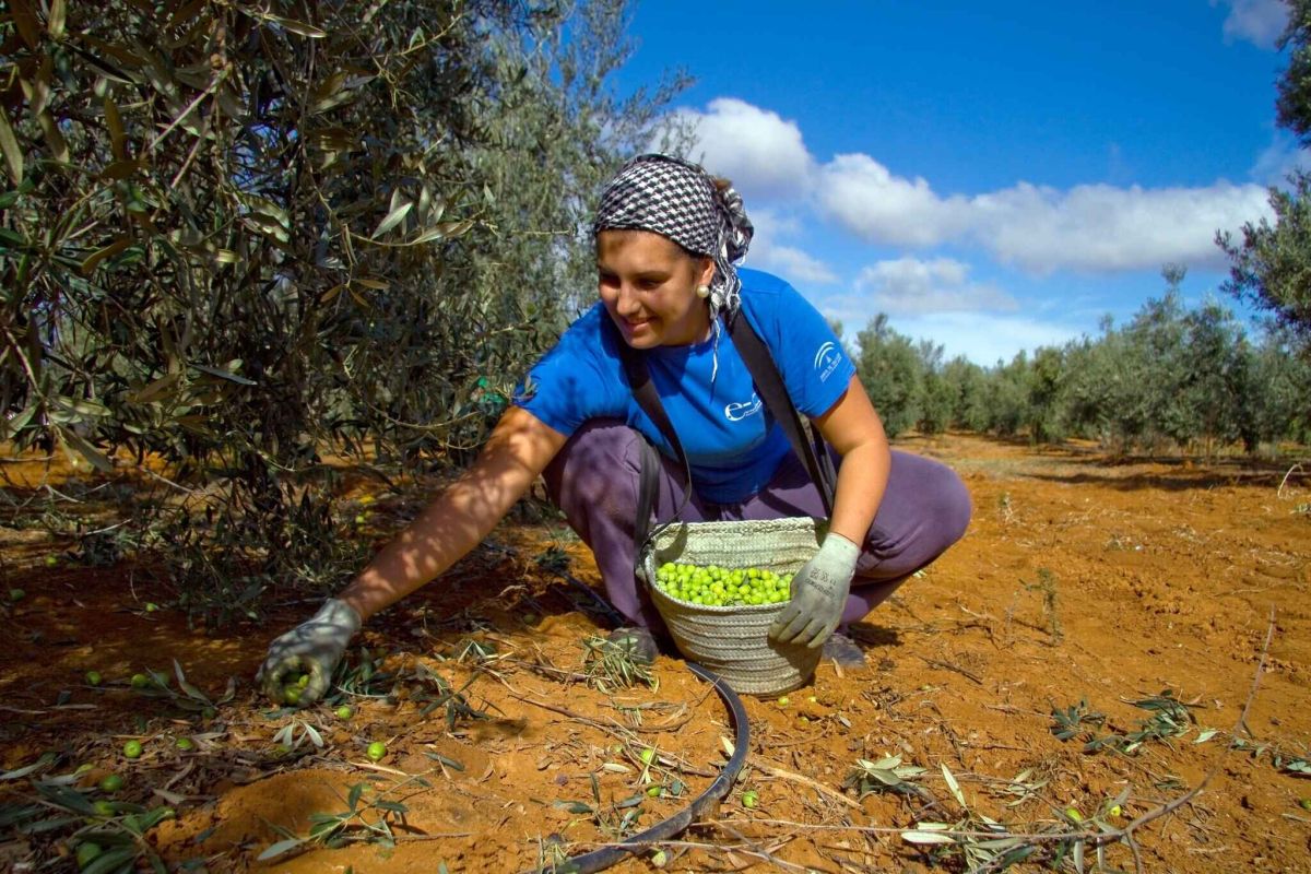 Más del 80% del empleo que generan los proyectos LEADER es a tiempo completo y fijo