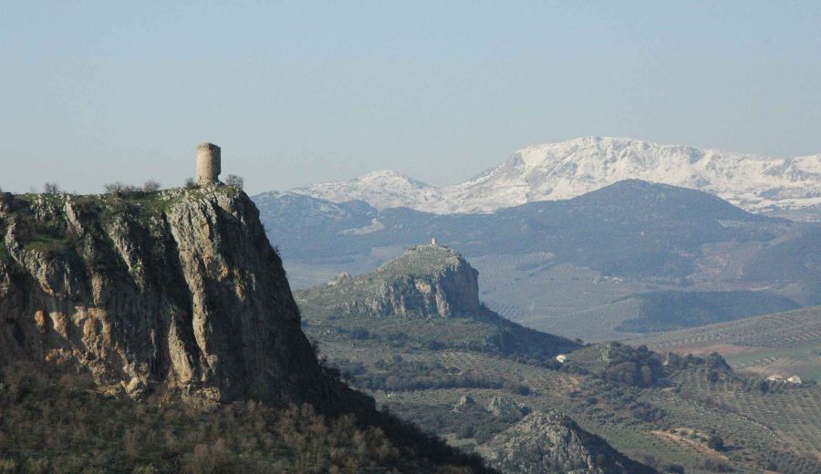 Agricultura anuncia la elaboración de protocolos de actuación con las diputaciones andaluzas para proyectos de ámbito rural