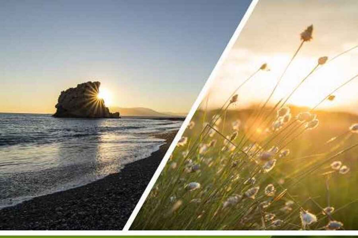 Diputación de Málaga premiará iniciativas contra el cambio climático a través de los Premios Málaga Viva