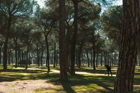 img venta mauro 002 9d6b168b