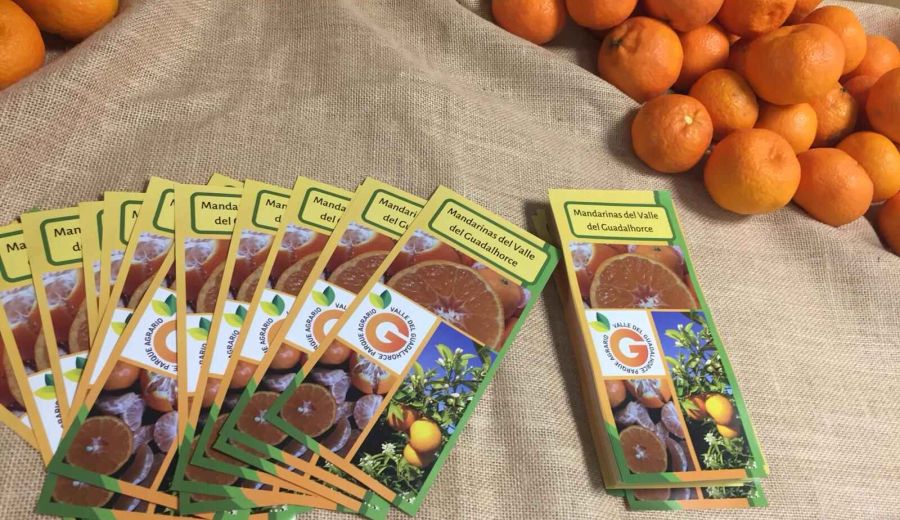 Más de medio millar de pacientes del Hospital Civil, Carlos de Haya y Materno Infantil degustaron mandarinas ecológicas del Valle del Guadalhorce en sus menús