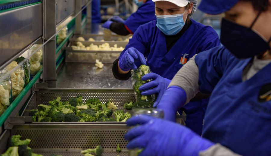 Subvenciones en régimen de concurrencia no competitiva del Programa de Apoyo a mujeres en los ámbitos rural y urbano