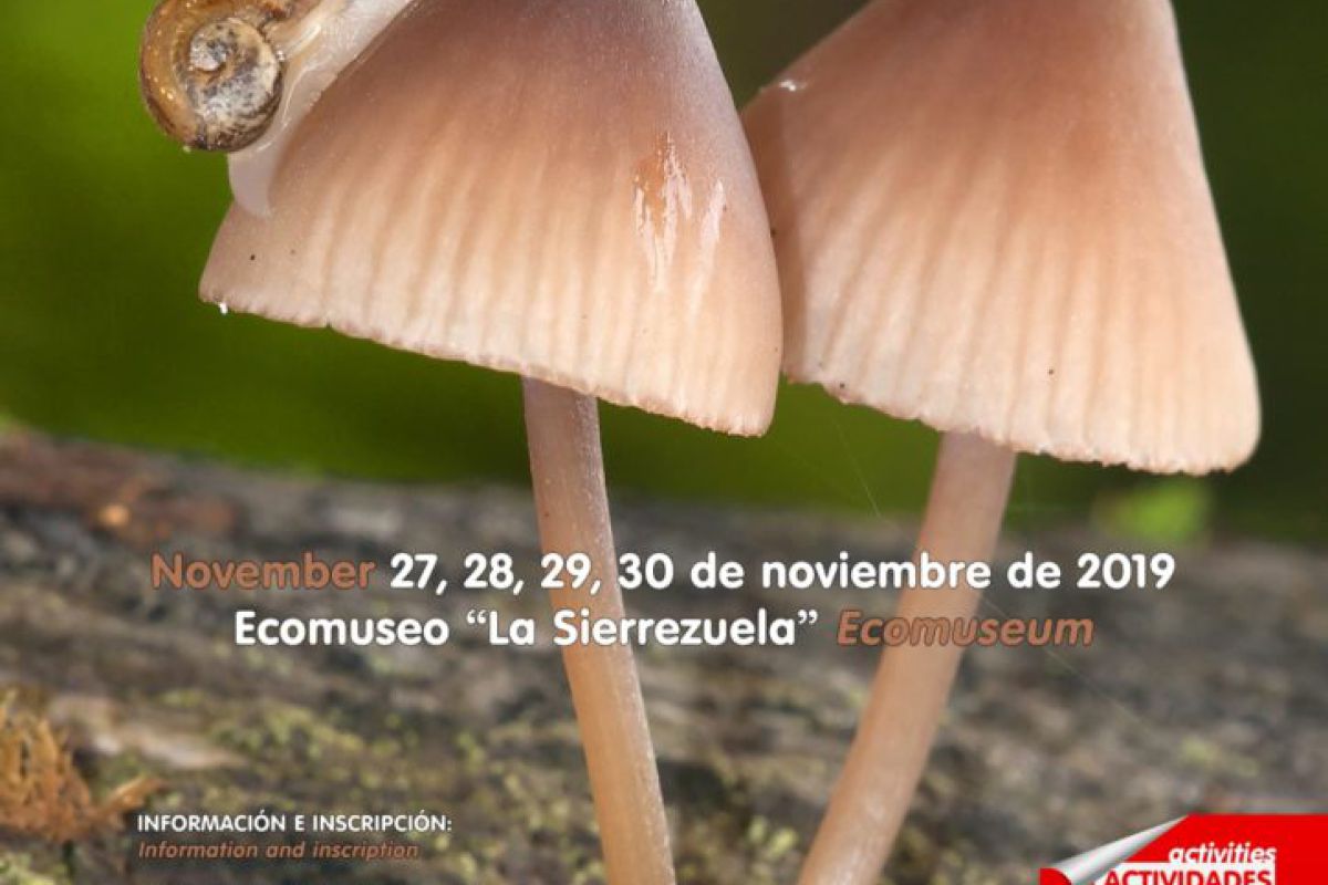 El GDR Medio Guadalquivir colabora en las jornadas “Sierra de Posadas”, referente del micoturismo en la provincia