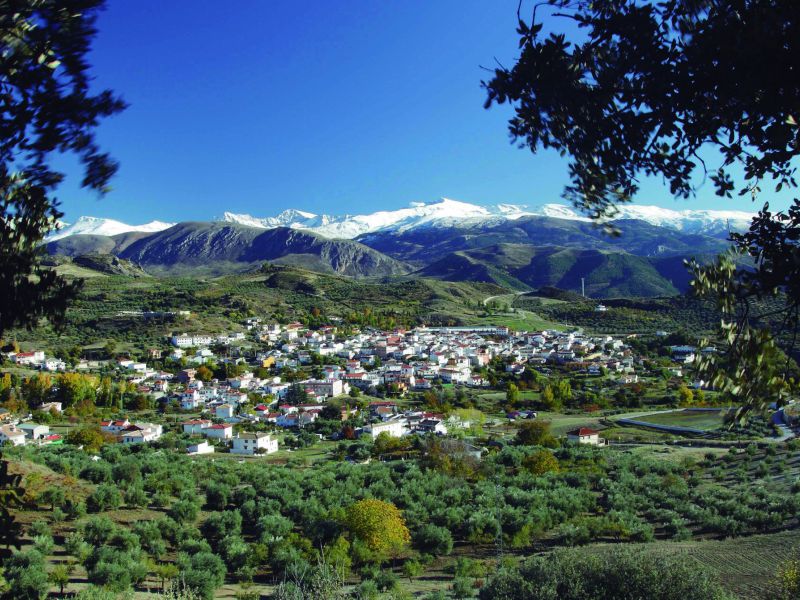 El GDR Alfanevada organiza un encuentro sobre oleoturismo, patrimonio y sostenibilidad agraria