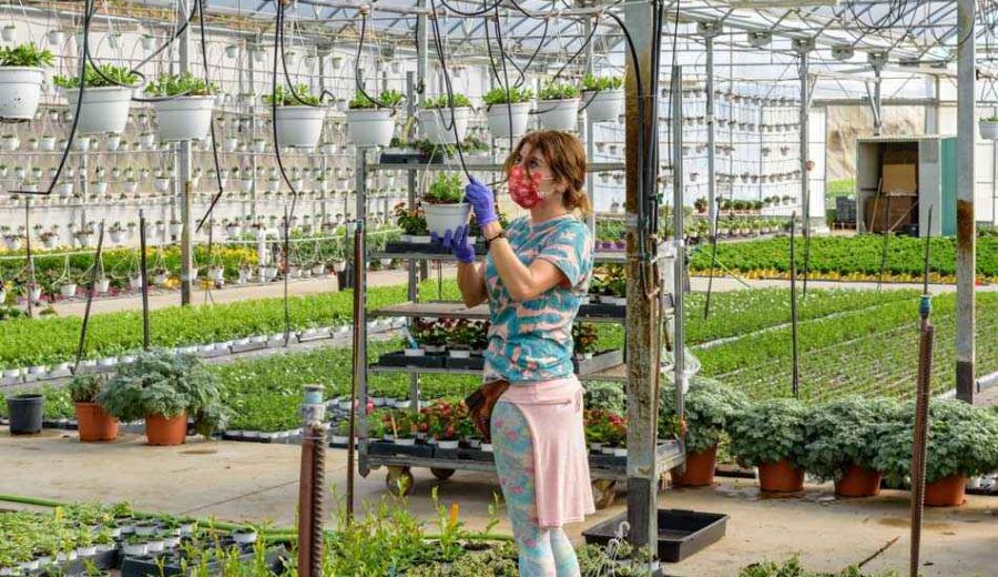 Creando oportunidades para el emprendimiento de las mujeres con discapacidad