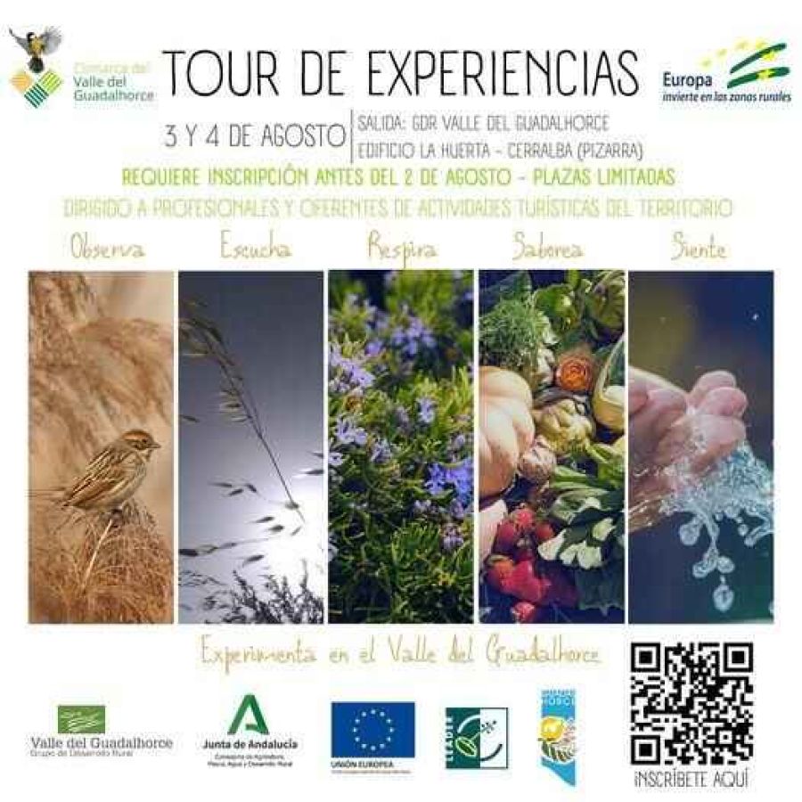 363335505 847806203399078 9128441184625626726 n a0d830a5