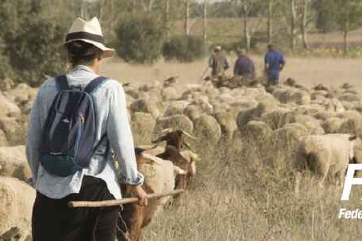Las mujeres rurales llevan su agenda a la COP25