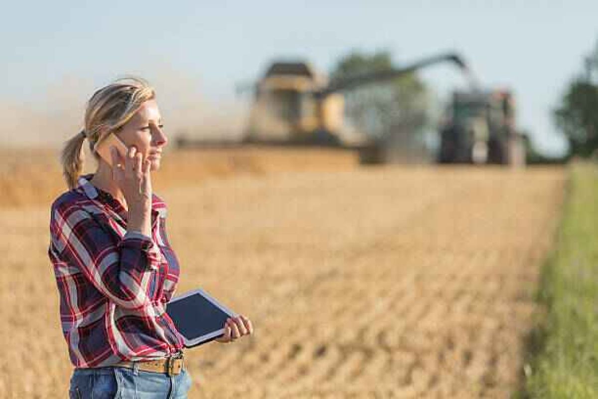 El Ministerio de Agricultura convoca ayudas por 46,5M€ para proyectos de innovación suprautonómicos