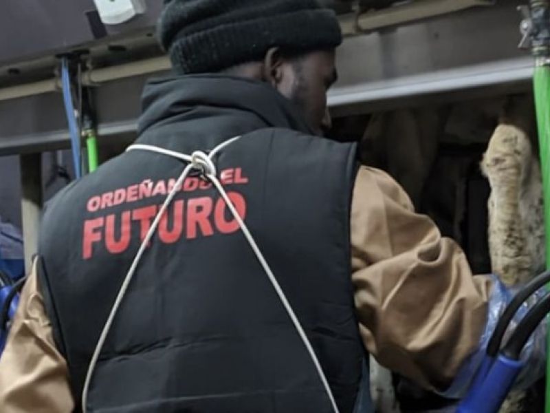 El proyecto andaluz Ordeñando el futuro, finalista en los Premios ARIA 2025