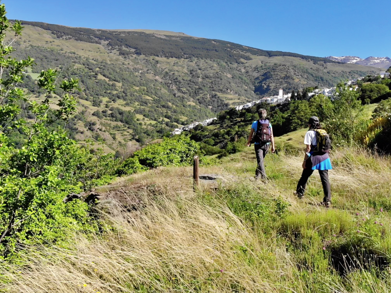 Ocupaciones estratégicas para la transición ecológica centradas en el turismo de naturaleza sostenible