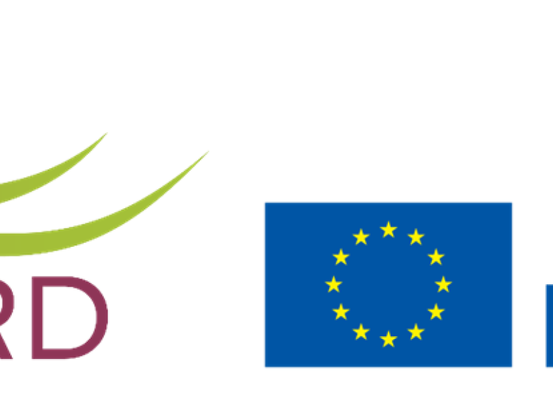 Personal experto de seis países analizan en Jaén las oportunidades de empleo de mujeres en el entorno rural