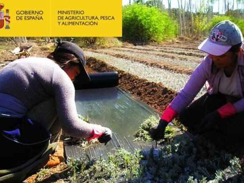 El Ministerio de Agricultura, Pesca y Alimentación concede los XI “Premios de Excelencia a la Innovación para Mujeres Rurales”
