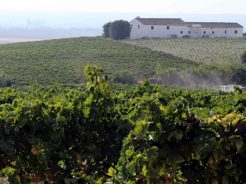 ‘Pagos del Sherry’, o cómo convertir la campiña jerezana en la nueva Toscana