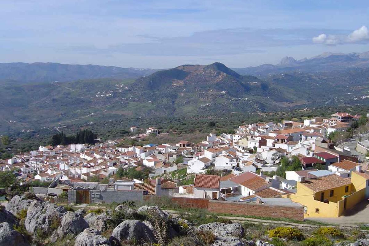 Axarquía Sostenible estudia el uso de una herramienta digital y de agua regenerada para disminuir el gasto hídrico