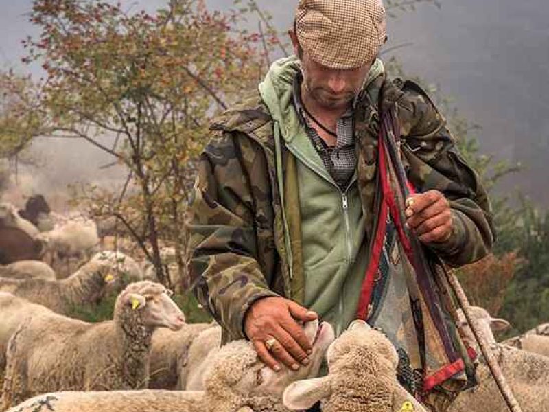 FotoRural 2020 demuestra el carácter esencial, hoy y siempre, del medio rural