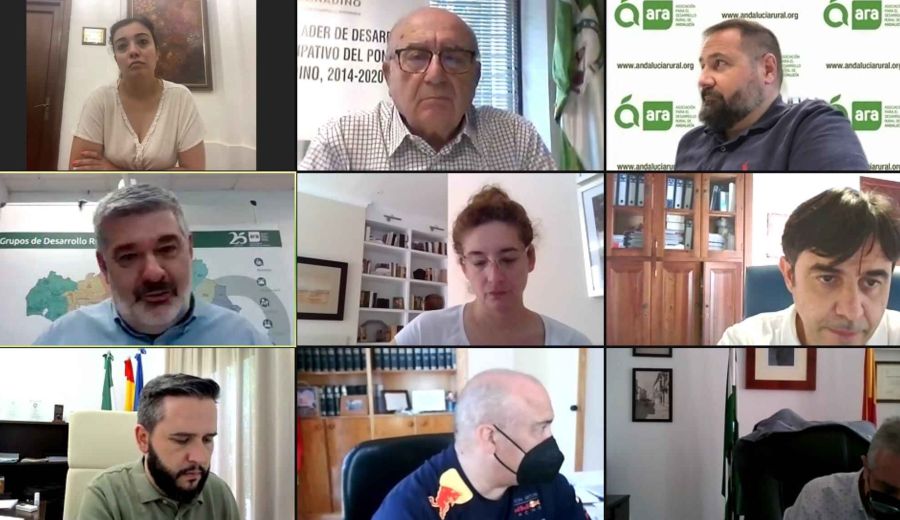 ARA constituye 3 Grupos de trabajo temáticos para aprovechar la experiencia  de los GDR en los territorios