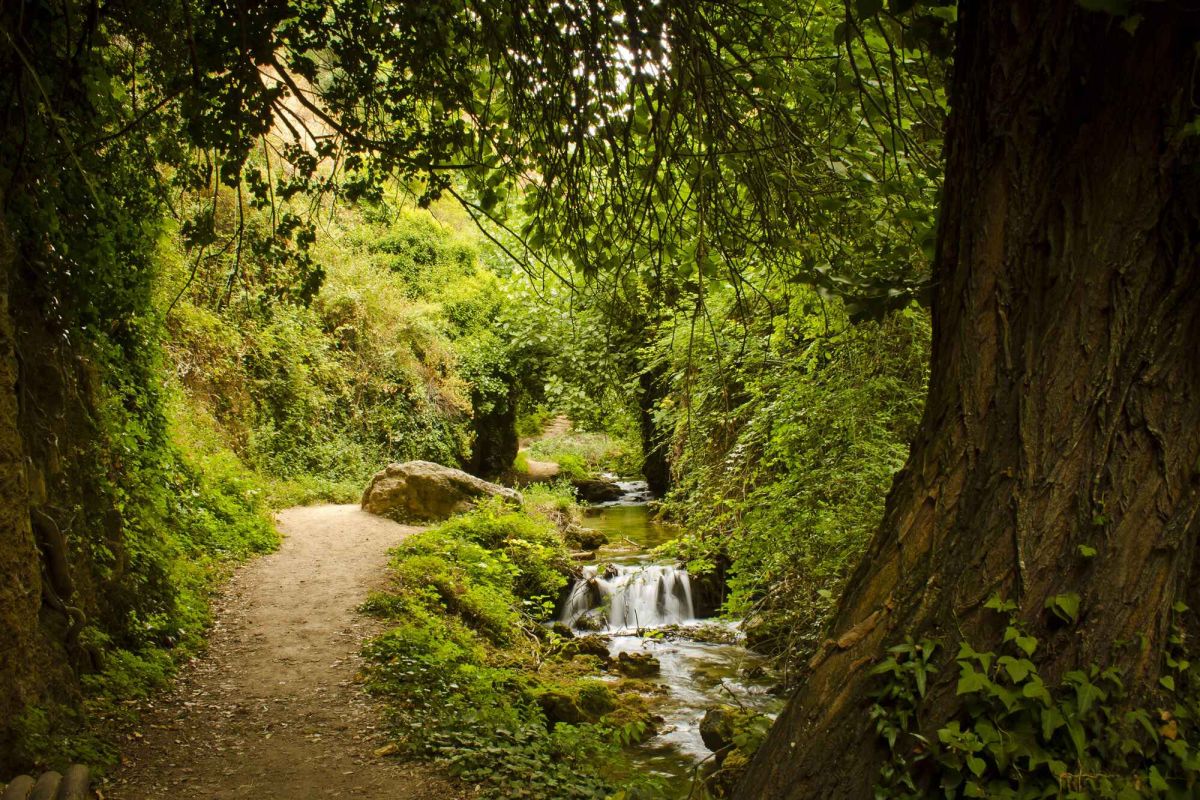 El mundo rural es necesario para cumplir con la Agenda 2020-2030