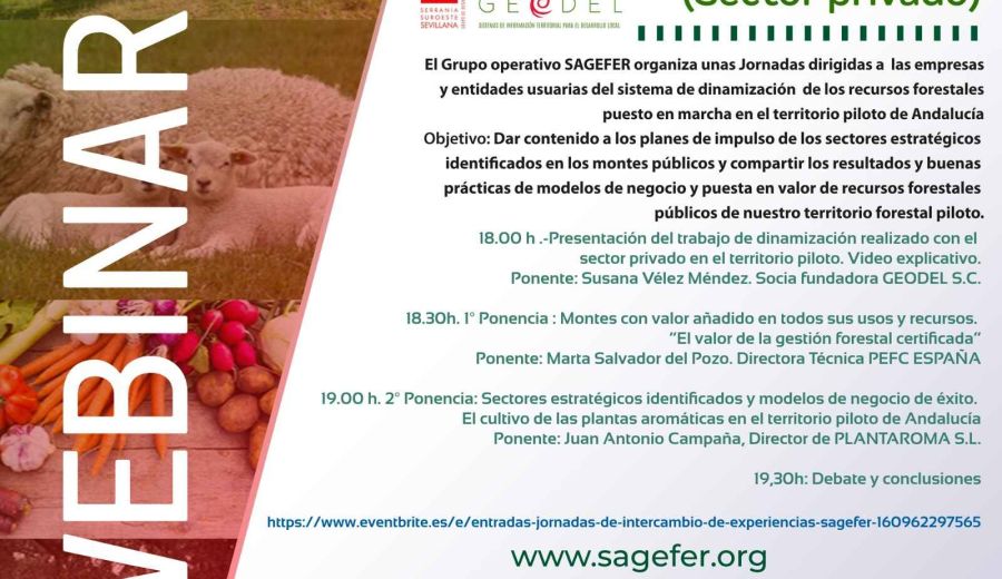 El GDR Serranía Suroeste Sevillana organiza la jornada “Experiencias SAGEFER sectores estratégicos y modelos de negocio”