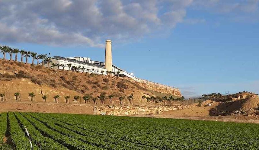 El GDR Levante Almeriense y Almanzora apoya con LEADER la Sociedad Agraria de Transformación Los Guiraos