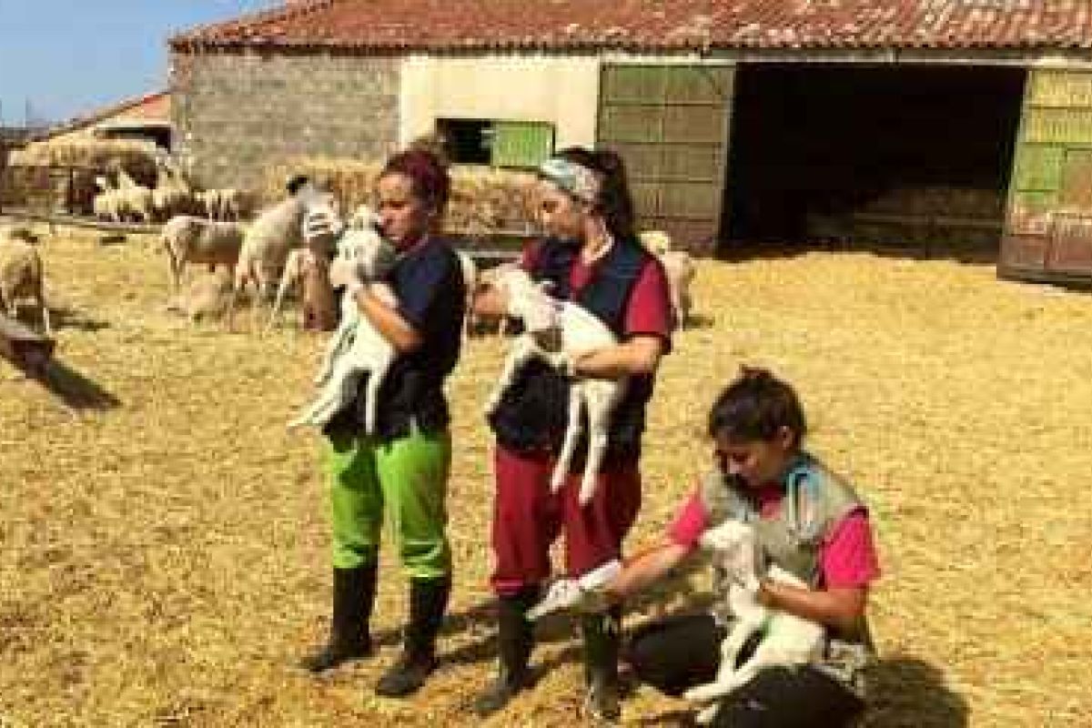 La Diputación y Universidad de Zaragoza ponen en marcha la segunda edición de  Desafío, su programa de prácticas en el medio rural zamorano