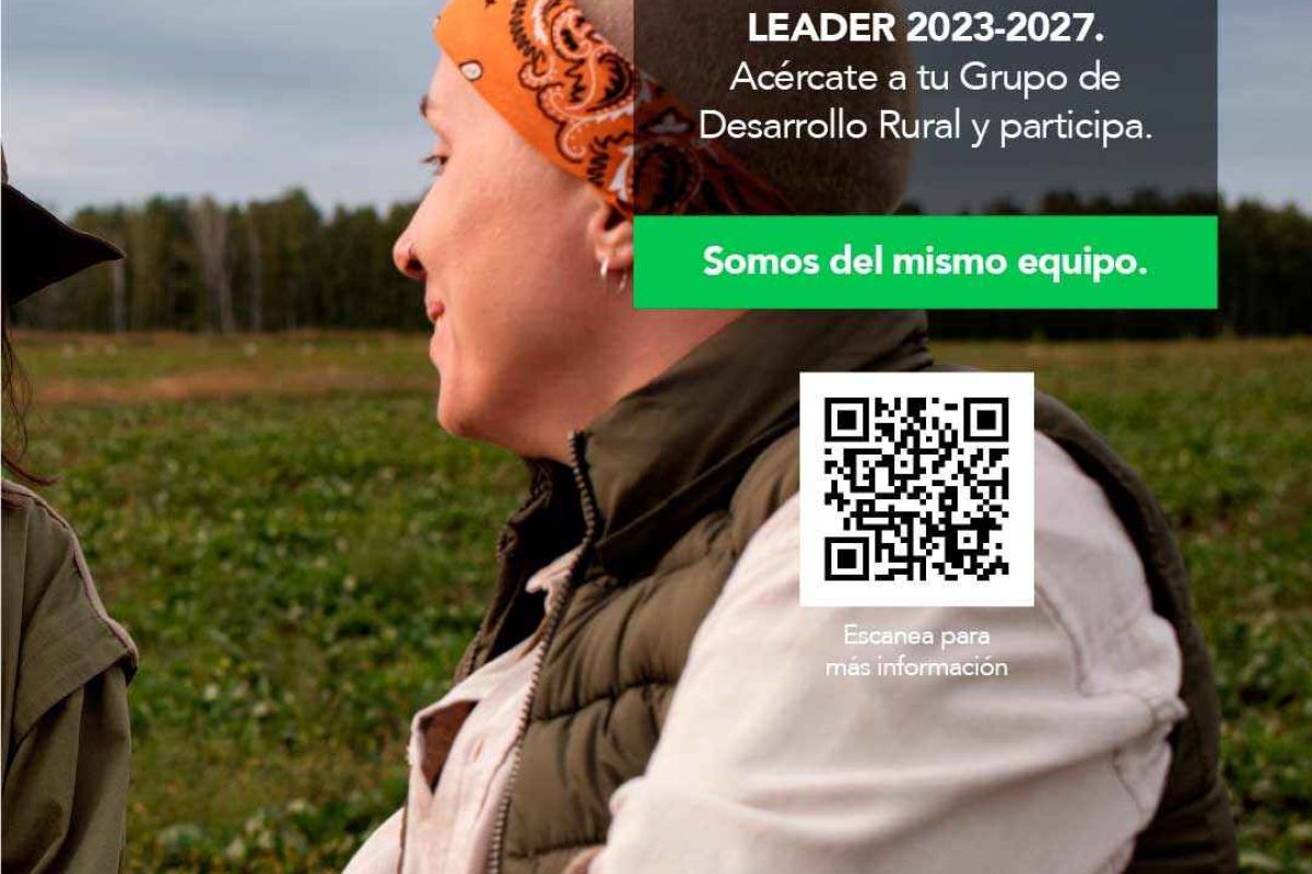 Seminario online de ARA: Manual de Identidad Visual Fondos Europeos Andalucía 2021-2027 y LEADER