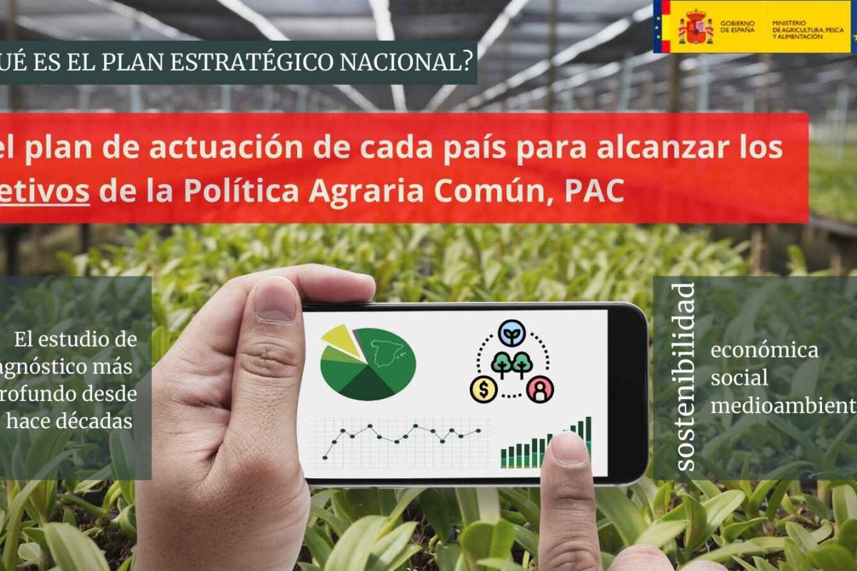 Guía básica de la PAC post 2020: Plan Estratégico Nacional