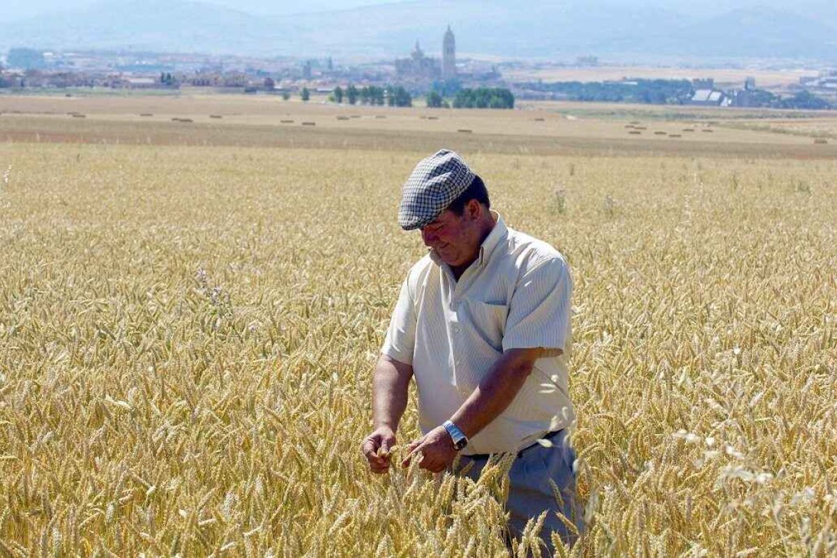 La Comisión propone ayudas temporales a los agricultores por los efectos del COVID-19