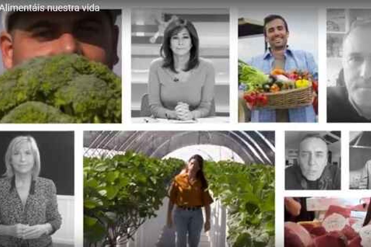 El Ministerio de Agricultura inicia la campaña #AlimentáisNuestraVida en apoyo de agricultores, ganaderos, pescadores y demás trabajadores del sector agroalimentario