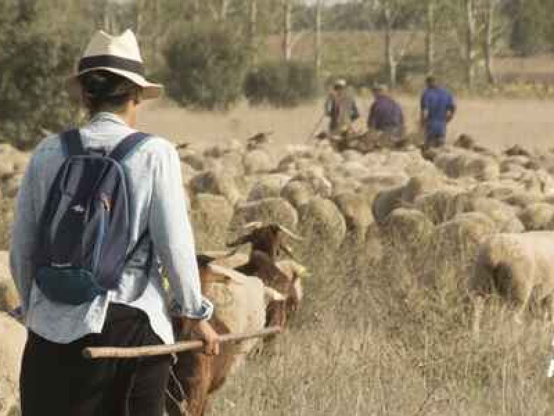 Las mujeres rurales llevan su agenda a la COP25