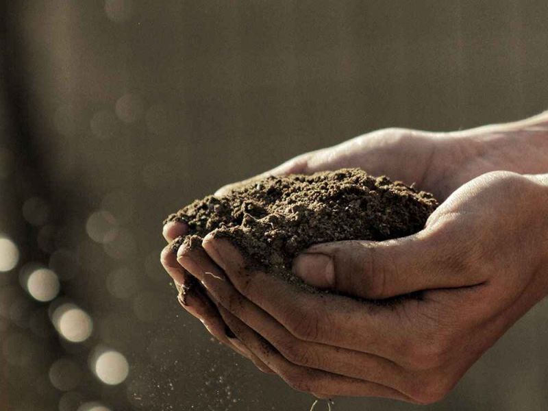 Últimos días de la convocatoria Terralimenta para los Grupos LEADER de España