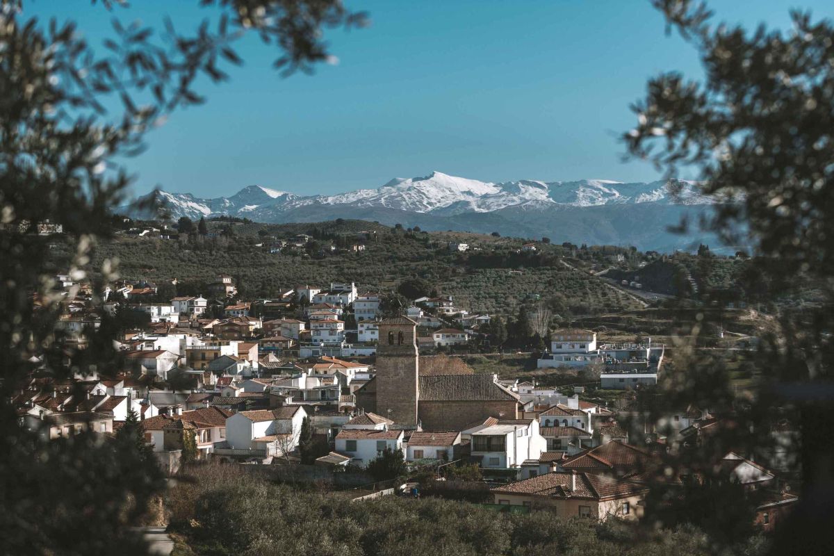 65 propuestas del Foro de Acción Rural para los Objetivos de Desarrollo Sostenible: «Que la pandemia no sea la excusa para frenarnos»
