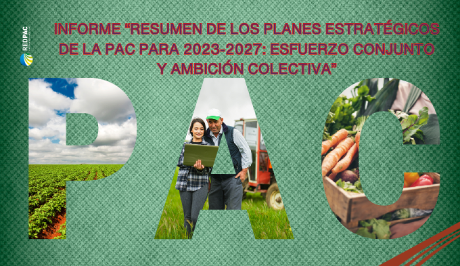 La Comisión Europea recoge en un informe los principales impactos de la PAC 2023-2027