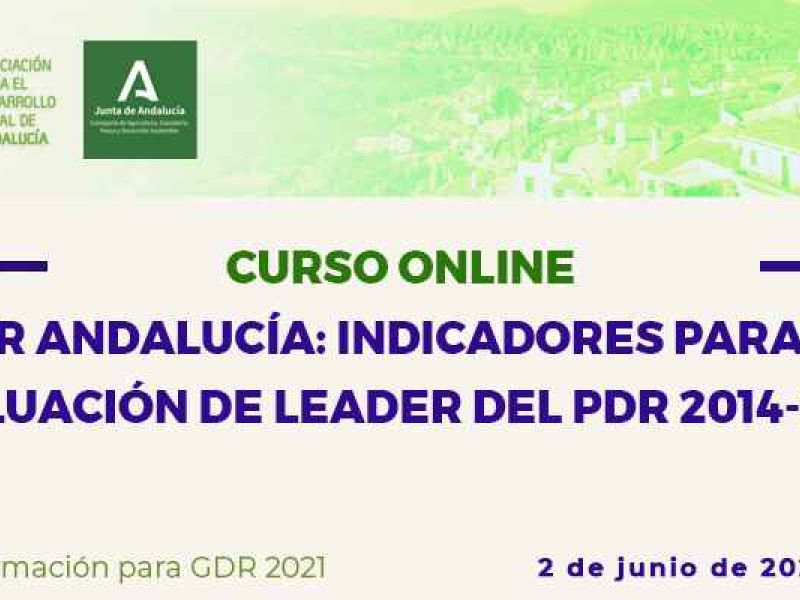 Curso online: “GDR de Andalucía: indicadores para la evaluación de LEADER en el PDR 2014-2020”