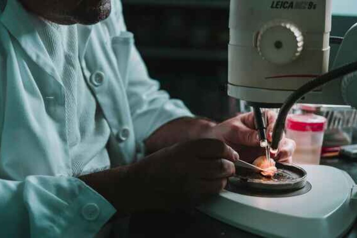 La innovación técnica llega a la cría de caracoles con el proyecto de Heligemas en el que participa ARA