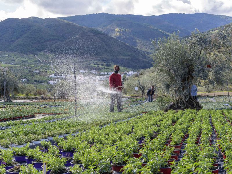El 71% de los proyectos LEADER en Andalucía incluyen el enfoque ambiental