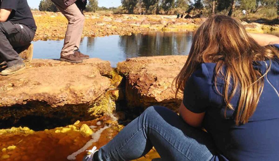 Los jóvenes y la toma de decisiones en el medio rural: una encuesta para conocer su participación en los Grupos LEADER