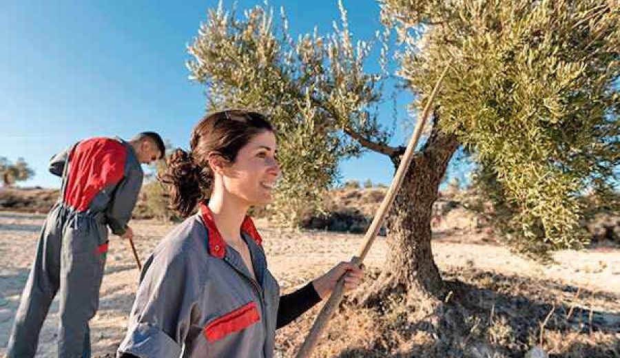 ODS5. La mayoría de las mujeres que trabajan en el mundo rural no reciben una remuneración acorde a la legislación