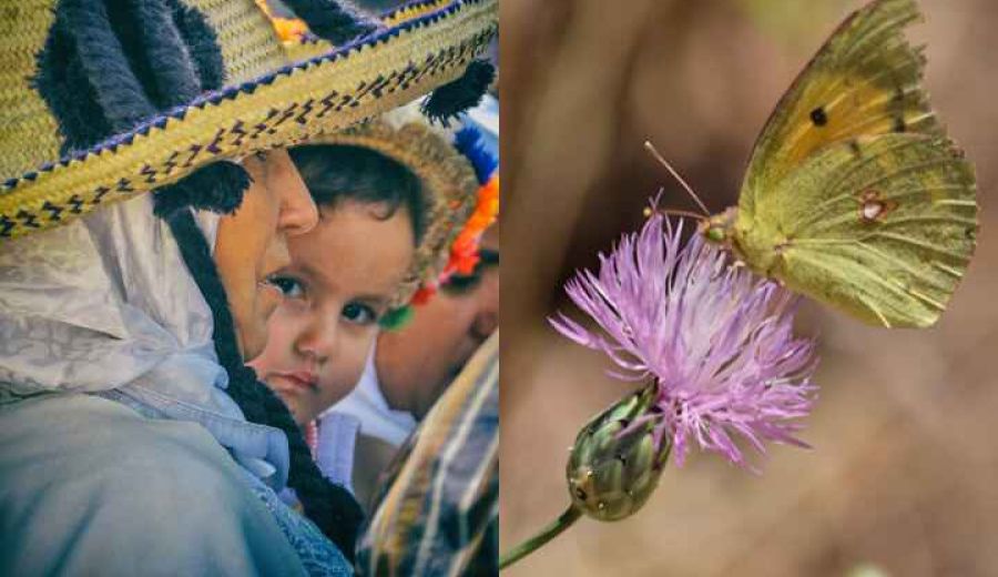 Un intercambio técnico entre Andalucía y Marruecos abordará en Cazorla el desarrollo en los espacios naturales protegidos