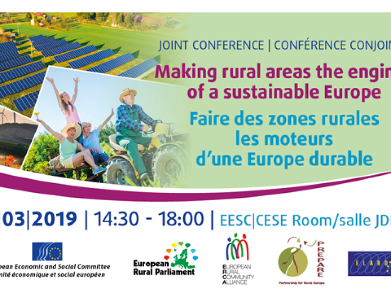 ELARD presenta al Comité Económico y Social Europeo y al Parlamento Rural Europeo una serie de medidas de renovación de LEADER/CLLD para el período de programación 2021-2027