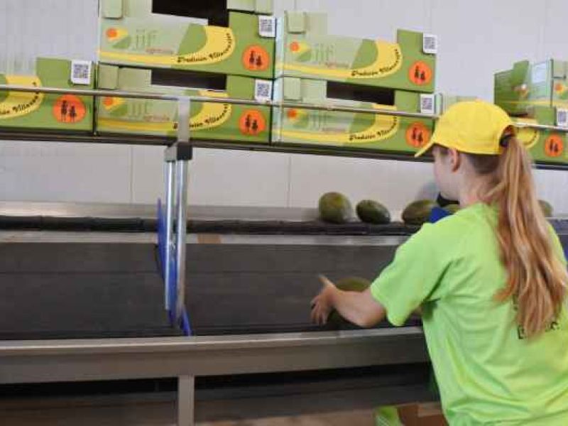 Mujeres rurales, el corazón de nuestros pueblos