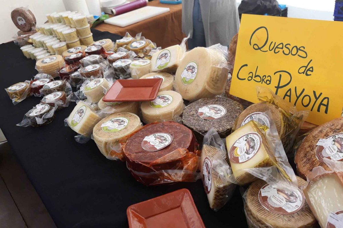 Nace la marca Quesos de Villaluenga, un paso más hacia la Indicación Geográfica Protegida