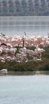 img asencio addafdb8