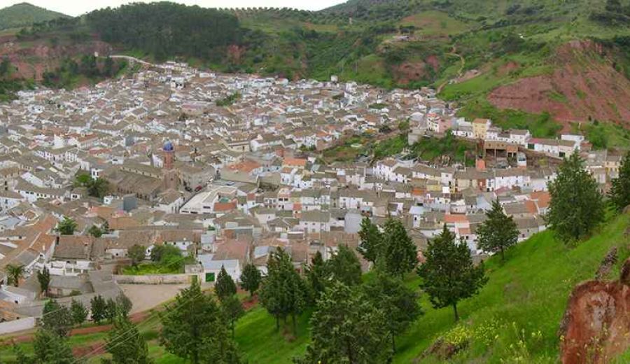 La biomasa, el 5G y las ciudades inteligentes, alternativas del  GDR Condado de Jaén