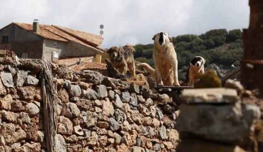 Siete razones para un mundo rural justo y sostenible