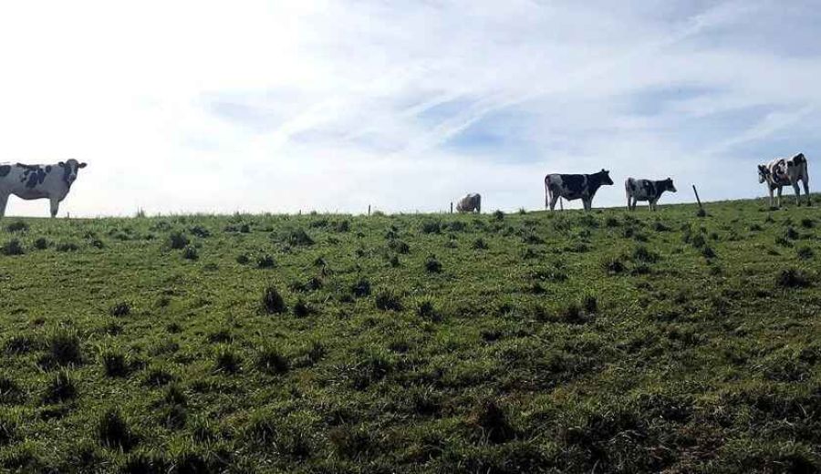 Cantabria, primera comunidad que modifica el Programa de Desarrollo Rural 2014-2020 para incorporar fondos del período de transición
